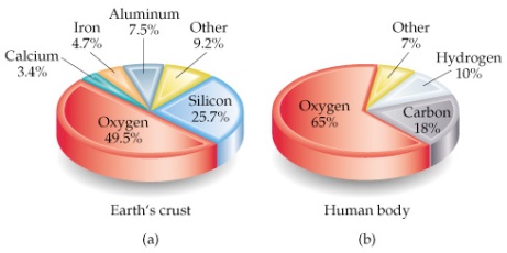 From Dust to Man: A Scientific Proof Mineral_graph